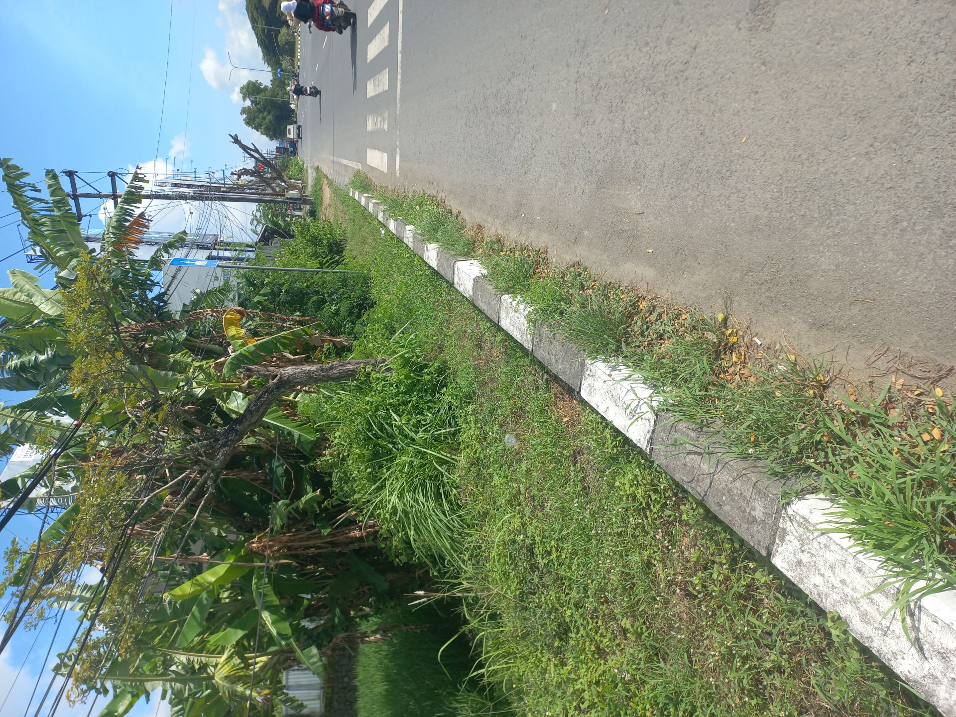 Tanah di bandara internasional lombok/tanak awu