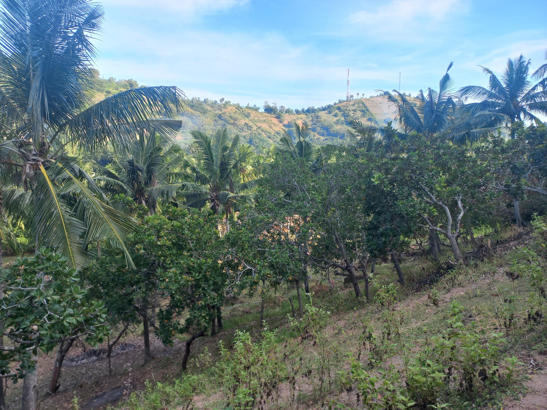 Tanah murah di lombok utara view bukit